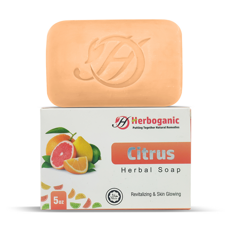 Citrus Herbal Soap