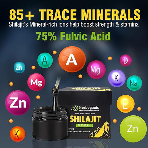 Shilajit Resin