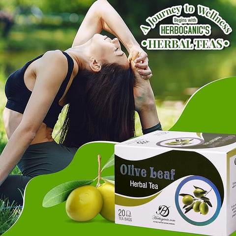 Olive Leaf Herbal Tea Box