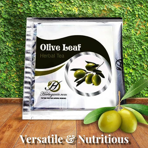 Olive Leaf Herbal Tea Box