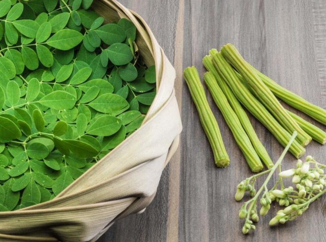 How to Add Moringa to Your Daily Wellness Routine