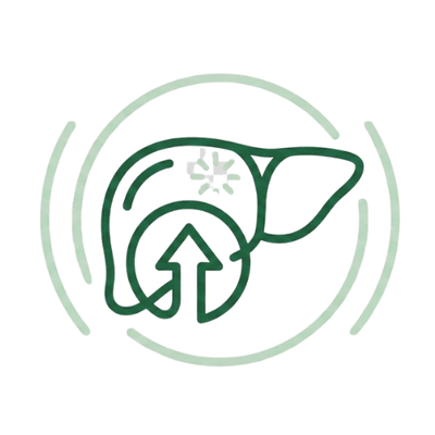 High In Plant-Based Protein