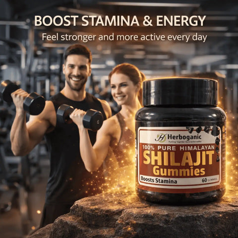Shilajit Gummies