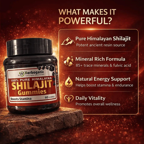 Shilajit Gummies
