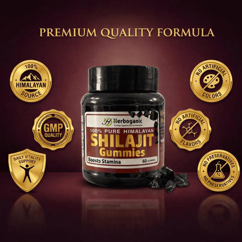 Shilajit Gummies