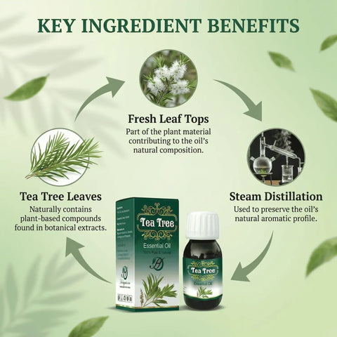 Tea Tree Essential Oil