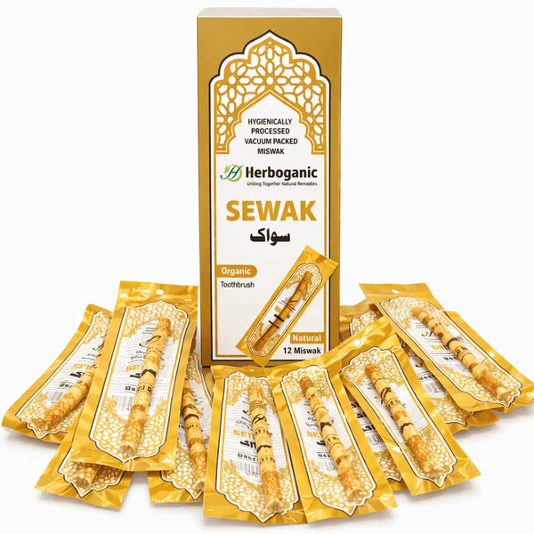 Miswak Plain (Pack of 12 Pcs)