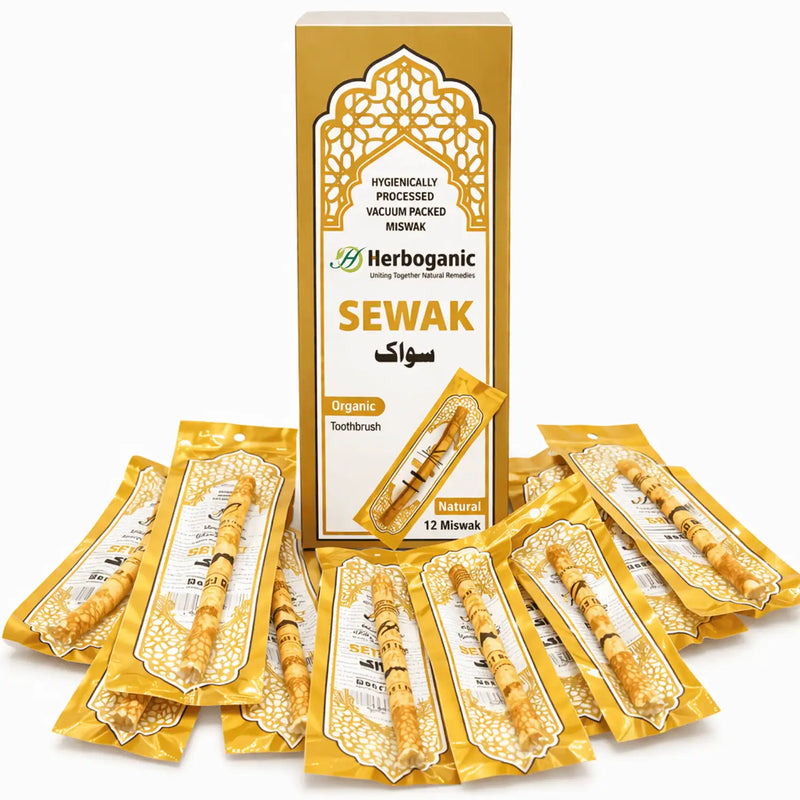 Miswak Plain (Pack of 12 Pcs)