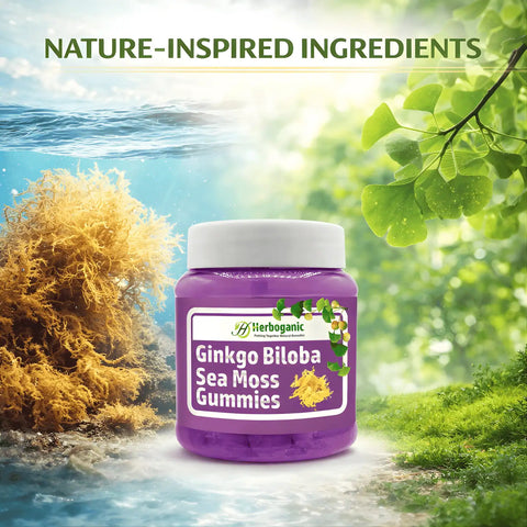 Ginkgo Biloba Sea Moss Gummies