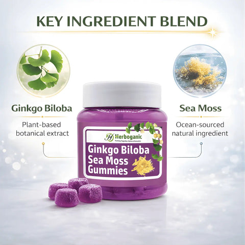 Ginkgo Biloba Sea Moss Gummies