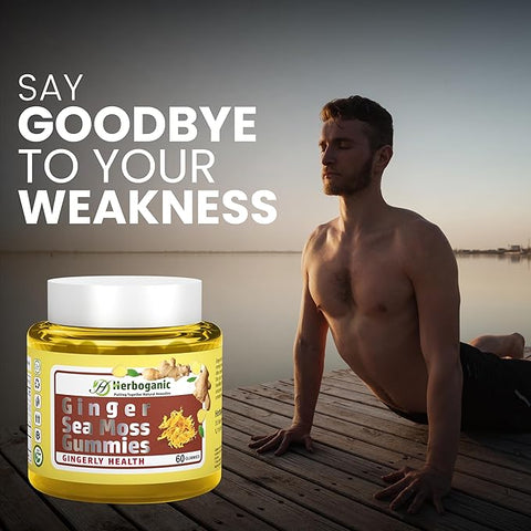 Ginger Seamoss Gummies (Wholesale)