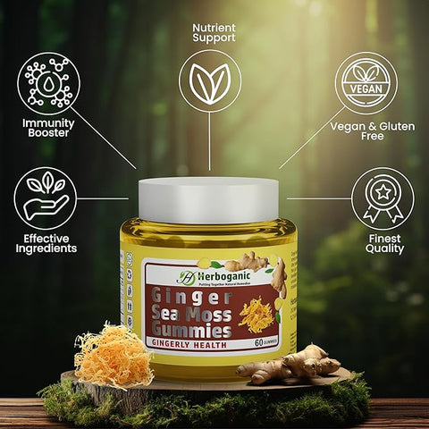 Ginger Seamoss Gummies (Wholesale)