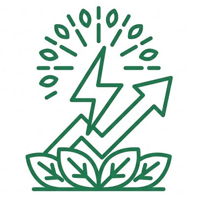 Natural Energy Boost 