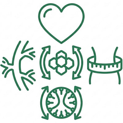 Body Balance & Vitality