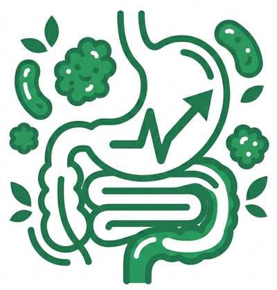 Helps Maintain Healthy Digestion