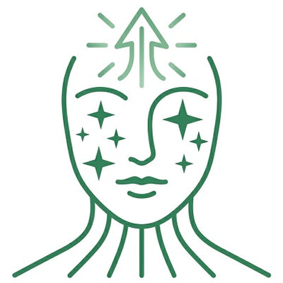 Designed For Consistent Daily Use