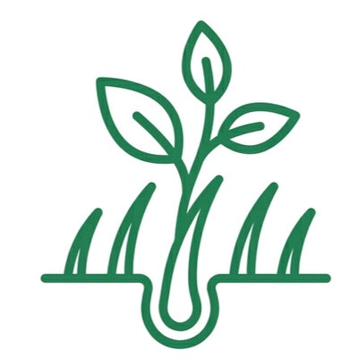 Locks In Deep Moisture