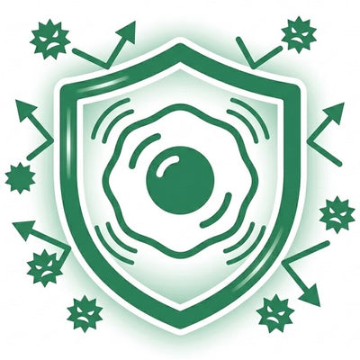 Fortify Your Natural Systemic Defenses