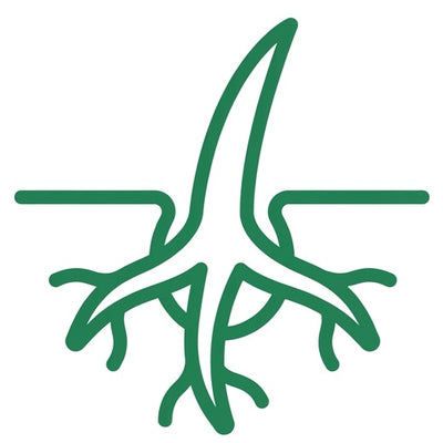 Soothes Dry, Itchy Scalps