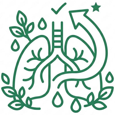 Easy Breathing Experience