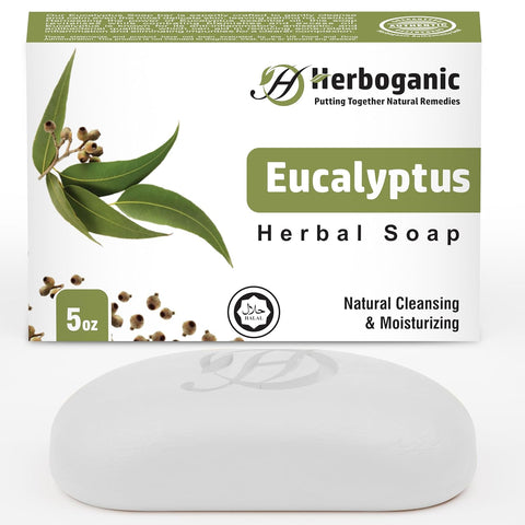 Eucalyptus Products