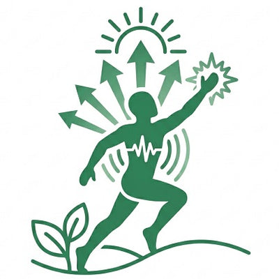 Supports Daily Energy and Vitality