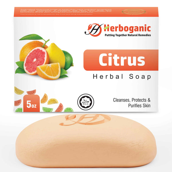 Citrus Herbal Soap (Wholesale)