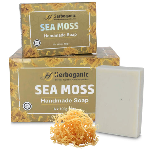 Sea Moss Handmade Soap (Wholesale)